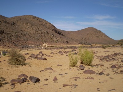 Adrar des Ifoghas, Mali.