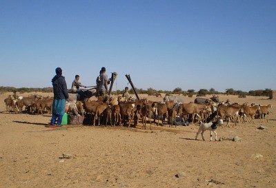 Studna, sever Mali.