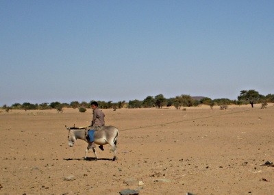 Vytahování vody ze studny, sever Mali.